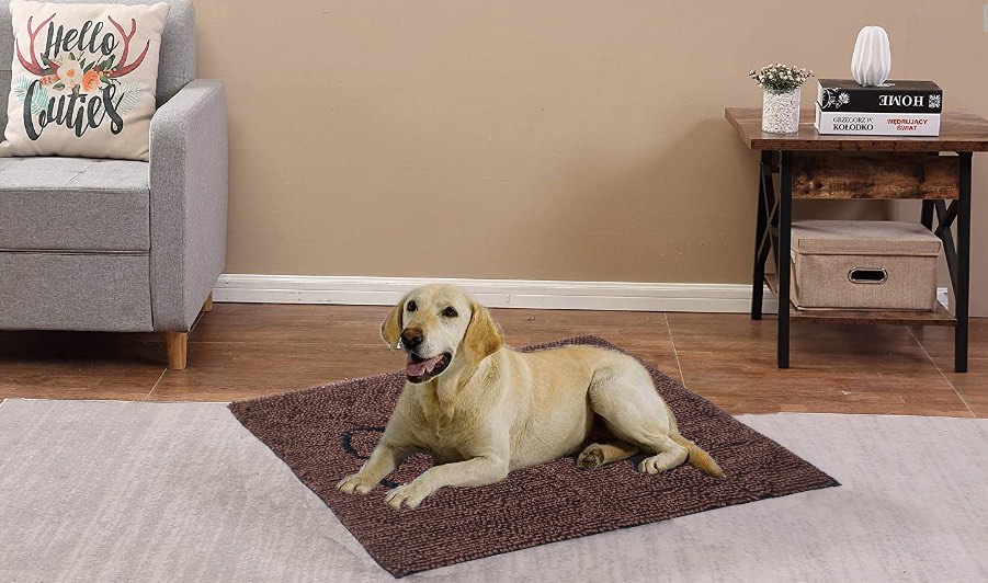 Pet online floor mat